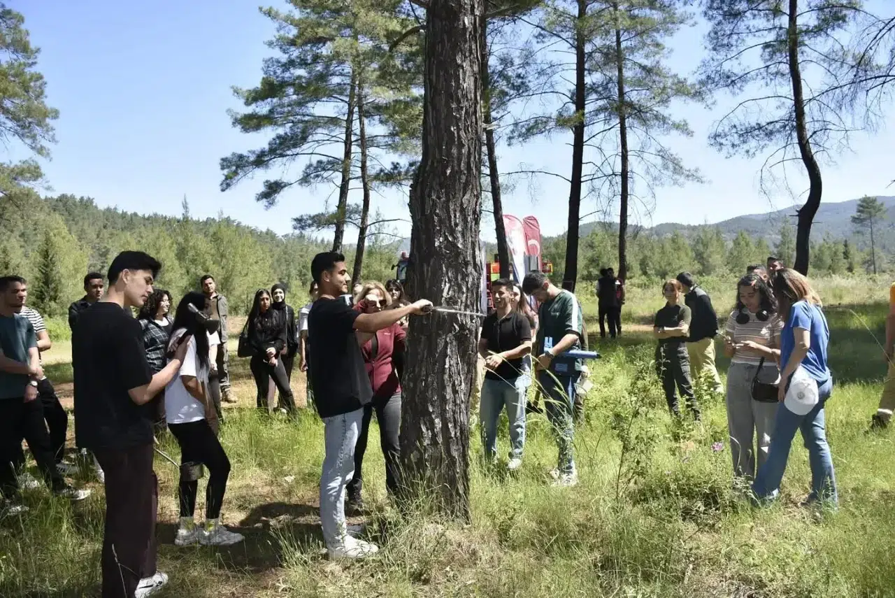 Köyceğizli ormancılık öğrencileri doğayı sınıfta değil sahada öğreniyor