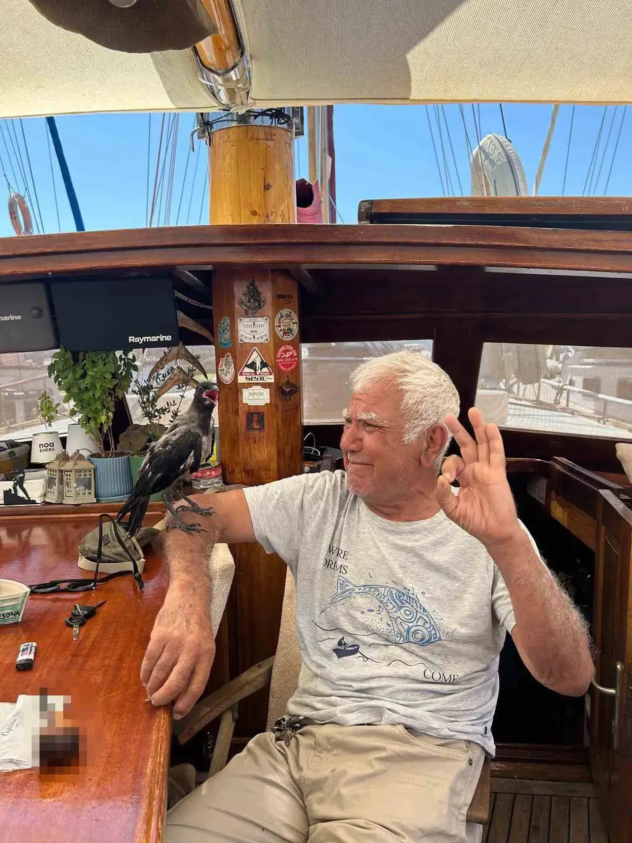 Bodrum'da yürek ısıtan anlar: Denizci ile karganın sıra dışı dostluğu