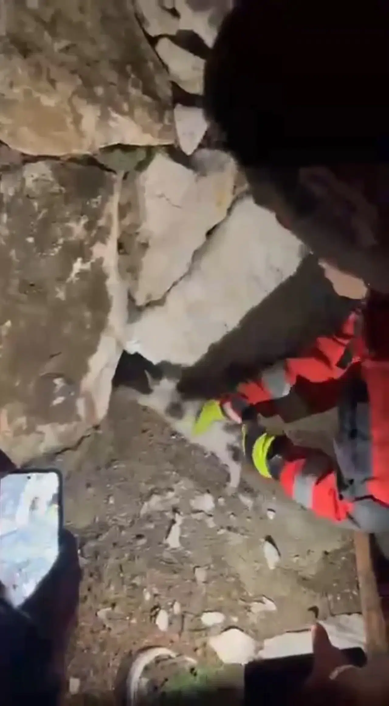 Yatağan'da gece yarısı operasyonu: Taş duvarların arasına sıkışan kedi kurtarıldı