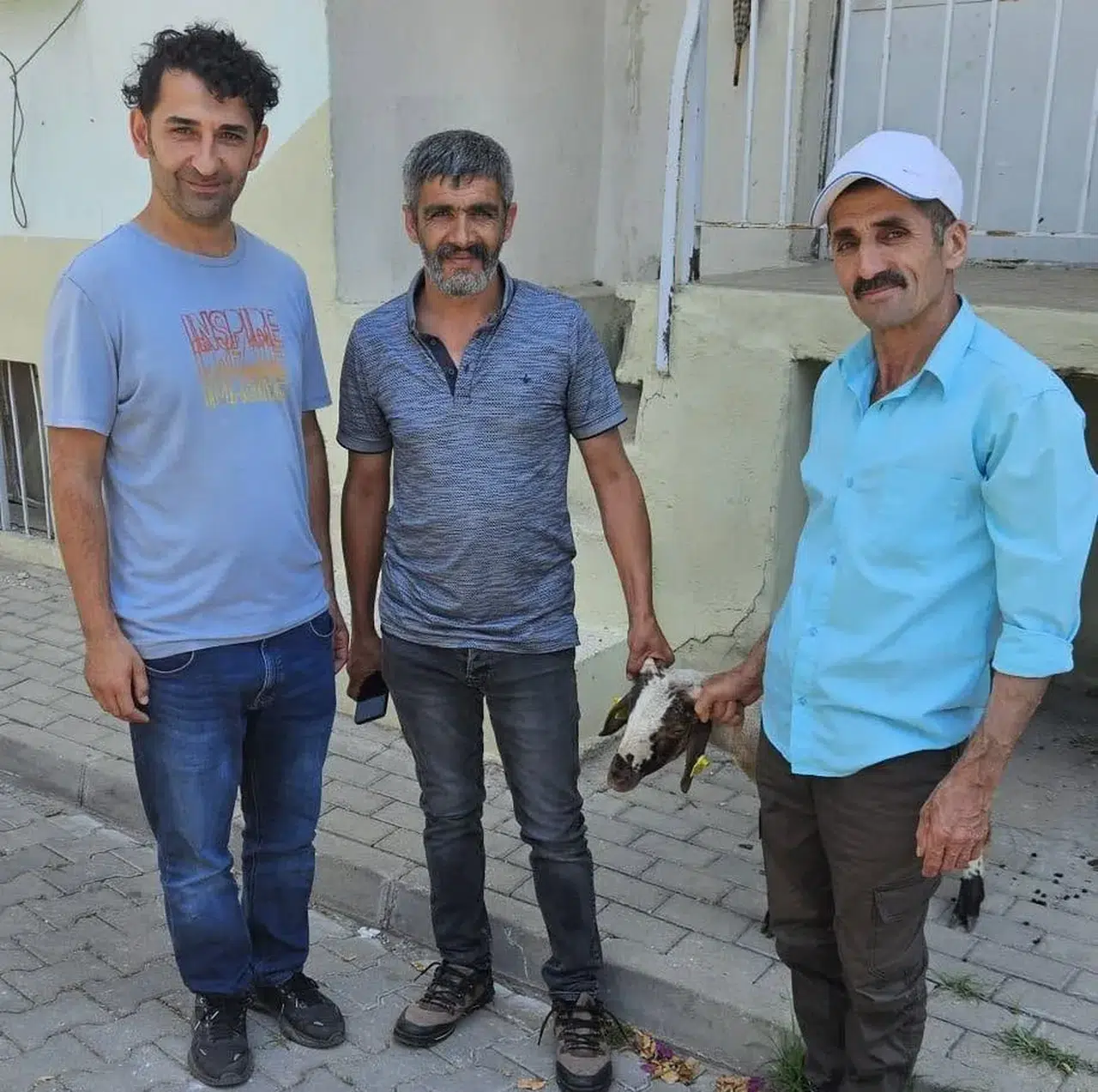 Nazilli sokaklarında kapı kapı dolaşan kuzuya teknolojik takip: Sahibi küpesinden bulundu