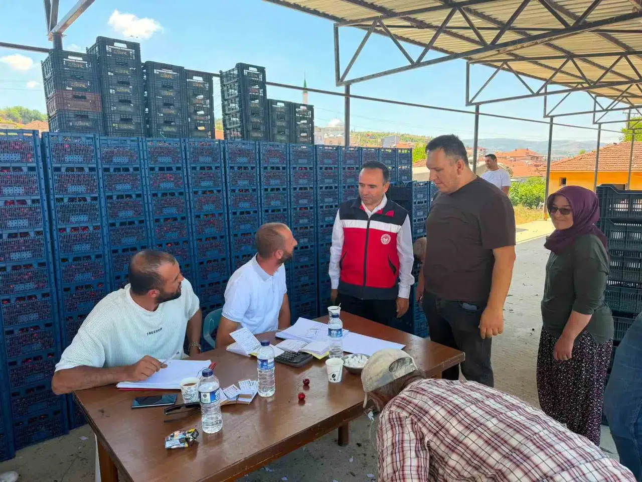 Simav’da kiraz mesaisi: Üreticinin derdi yerinde dinlendi