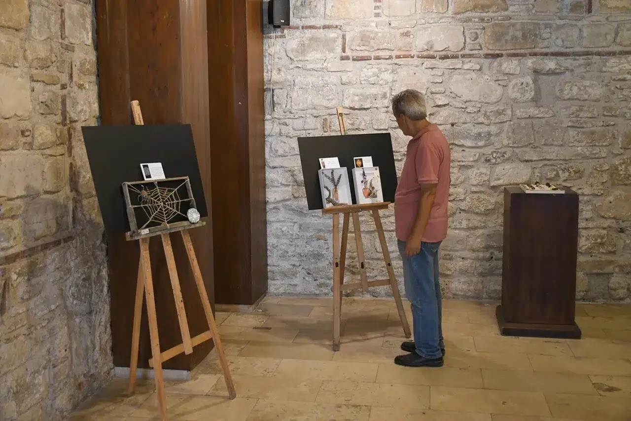 Arkeolojinin tozlu sayfalarından doğanın kalbine uzanan bir sanat yolculuğu