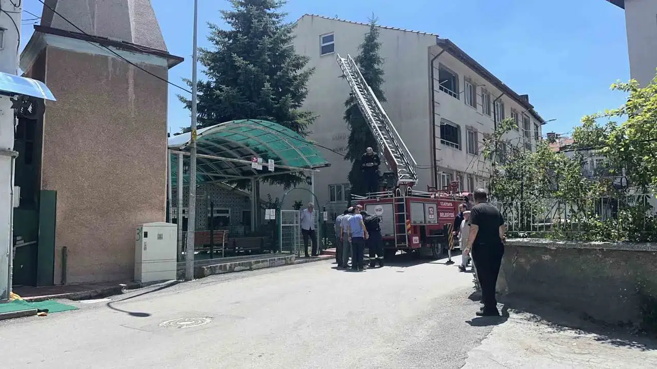 Kütahya'da yürek ısıtan operasyon: İtfaiye ekipleri minik serçenin imdadına yetişti