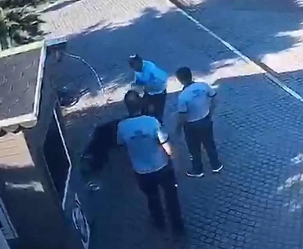 Salihli Belediyesi önünde dehşet anları: Hem köpeğe hem personele saldırdı