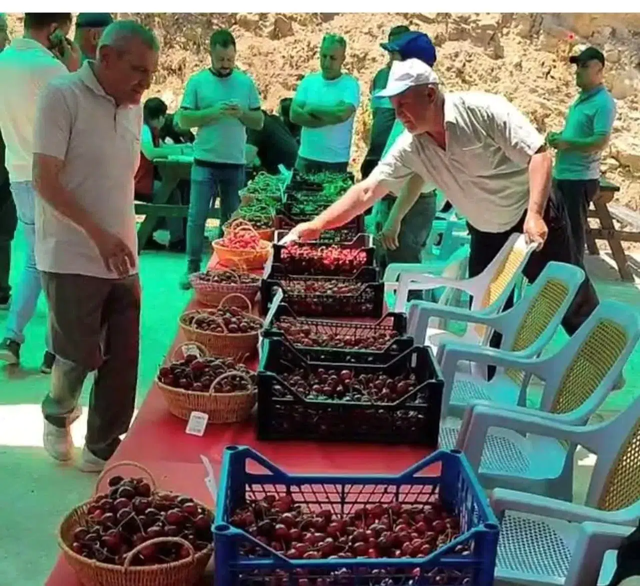 Kütahya’da kiraz bereketi: Kutlubeyler köyünde festival rüzgarı esti