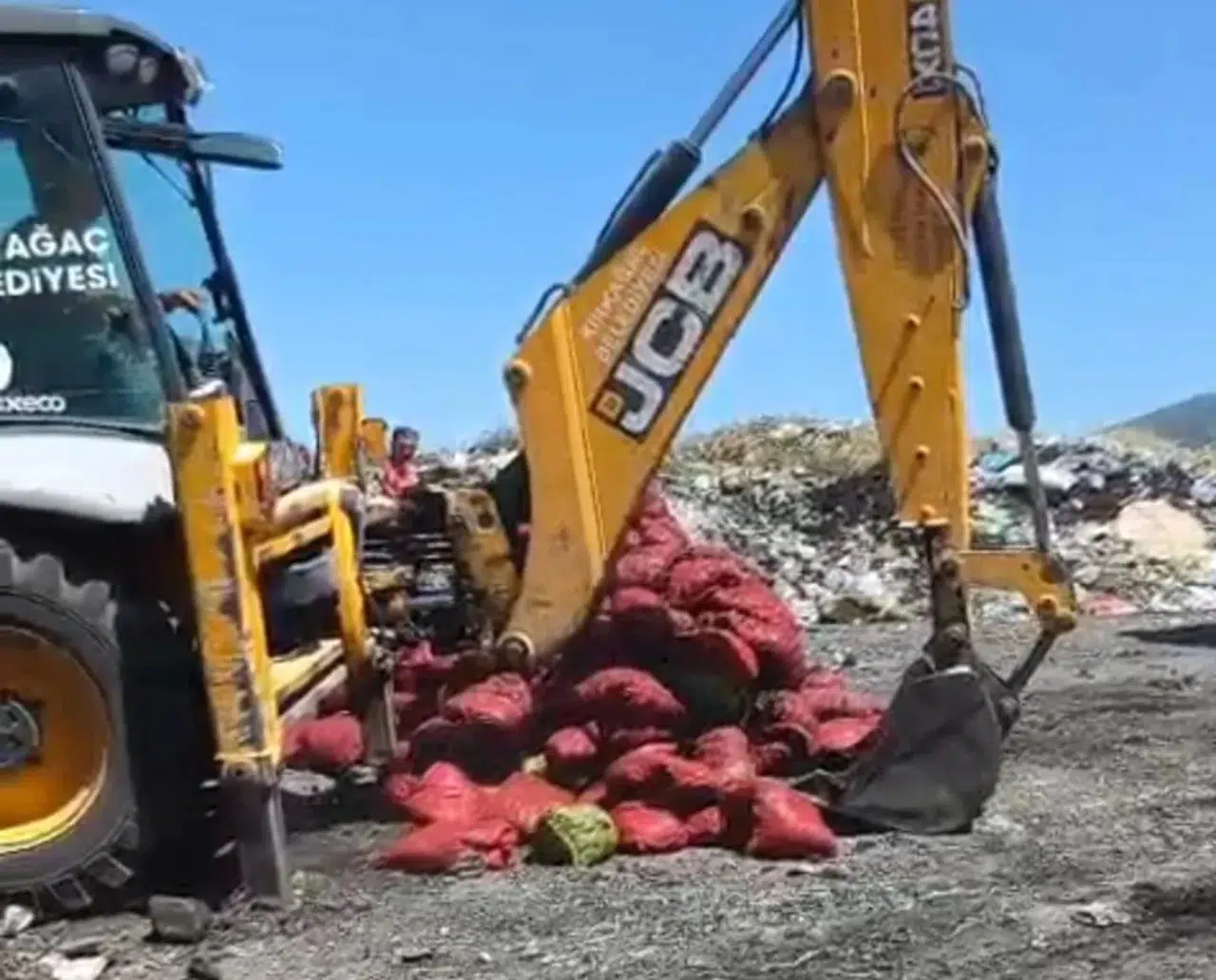 Manisa otoyolunda şüpheli sevkiyat: 4 ton midye imha edildi