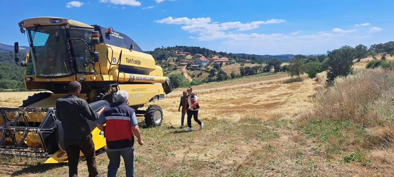Gediz ovasında hasat mesaisi: Biçerdöverler denetimden geçti