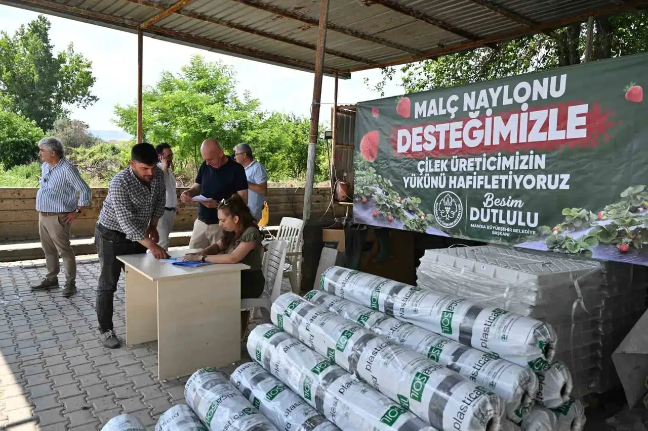 Manisa'da çilek üreticisinin yüzünü güldüren hamle: Yüzde 75'i belediyeden
