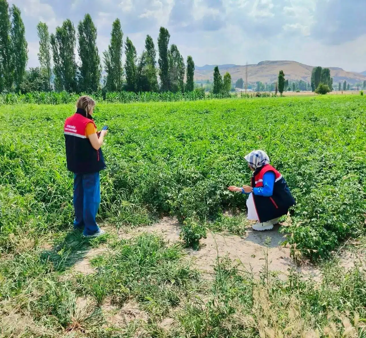 Afyonkarahisar'da toprak nöbeti: Tarım arazileri mercek altında