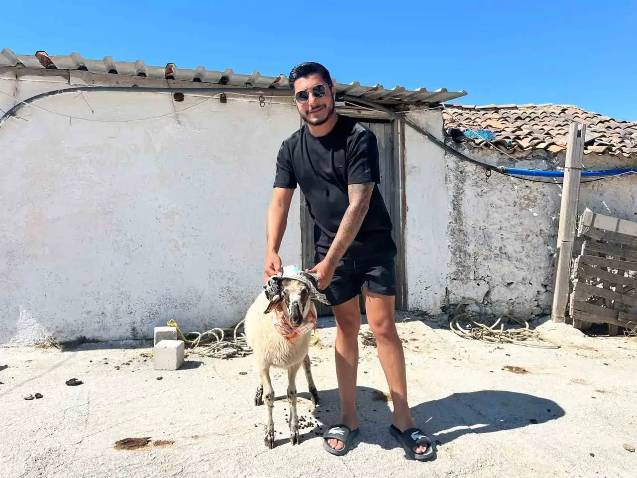 Beş yıllık pişmanlık kurbanla bitti: Ehliyetine kavuşan galerici tövbe etti