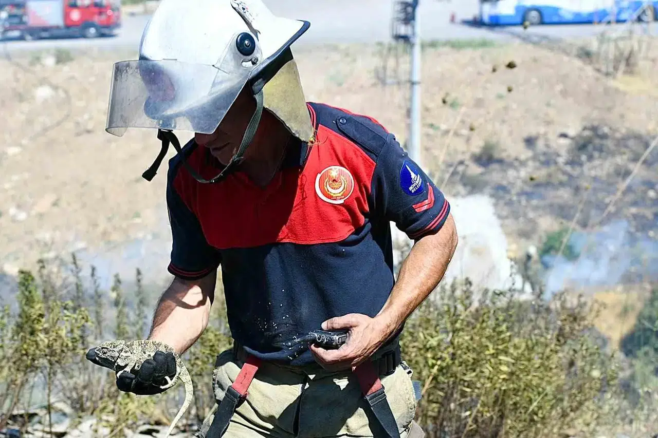 Alevlerin arasinda minik bir can: İtfaiyecilerin şefkatli dokunuşu hayat kurtardı