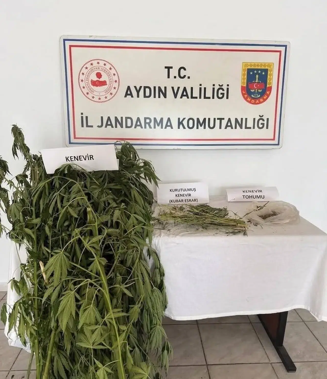 Efeler'de jandarmadan uyuşturucu operasyonu: Evlerini seraya çevirmişler