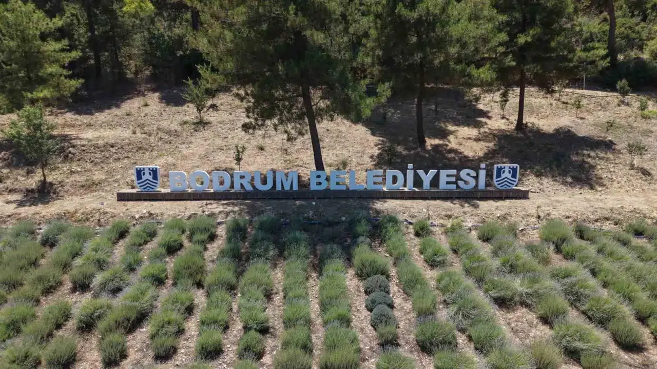 Bodrum'da toprağa dokunan gençlik: 6. Tarım Kampı kapılarını açtı