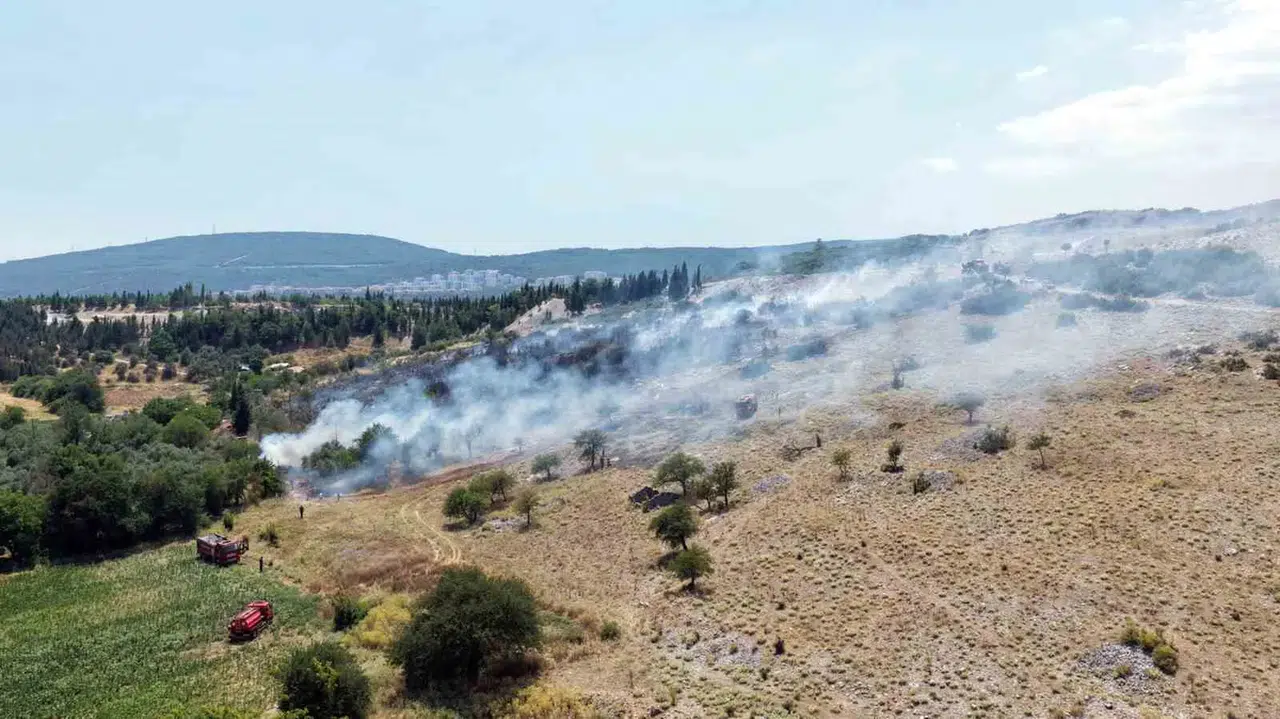 Menteşe'de alevler zeytinlikleri küle çevirdi: Ekipler seferber oldu
