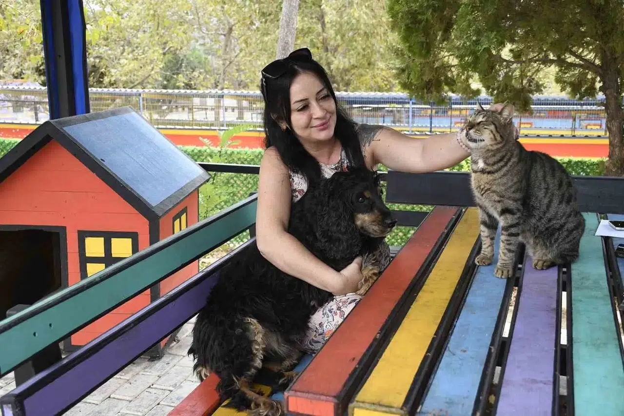 Kuşadası’nda iyilik hareketi: Binlerce can dostuna yeni bir hayat sundular