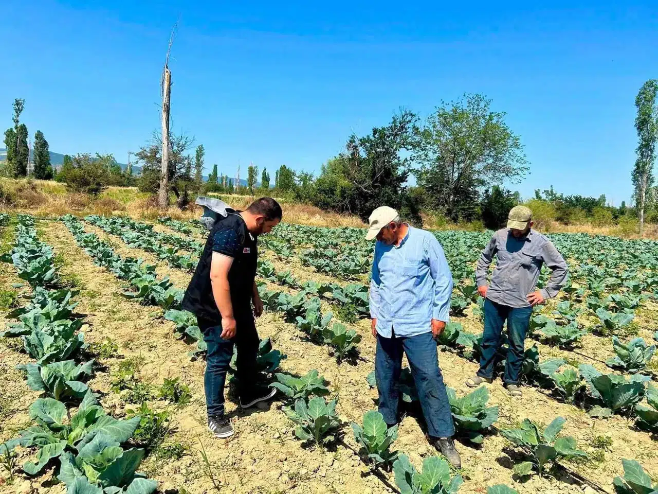 Afyonkarahisar’da tarım seferberliği: Üreticinin tarlasına uzman eli değdi