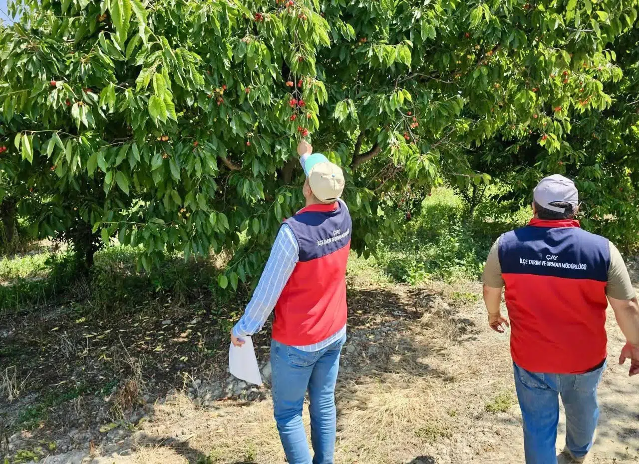 Afyonkarahisar'da dolu kabusu: Çiftçinin yaralarını sarmak için sahaya indiler