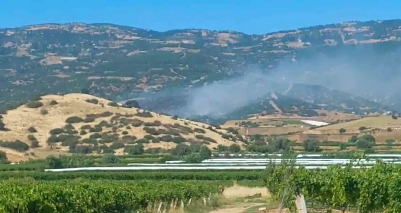 Manisa Sarıgöl'de ormanlık alanda korkutan yangın: Ekipler teyakkuza geçti
