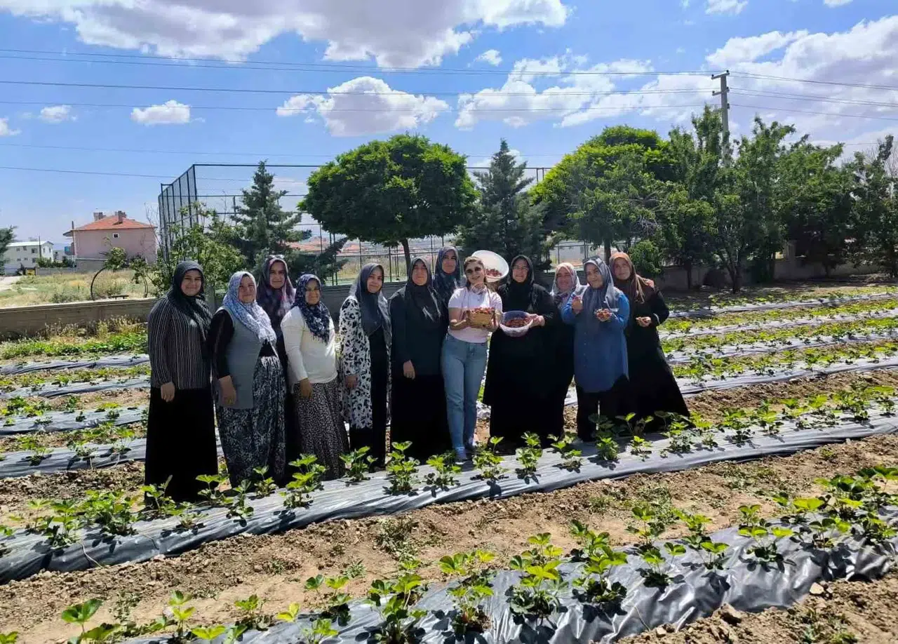 İscehisar’da toprak bereketlendi: ADEM projesiyle ilk ürünler toplandı