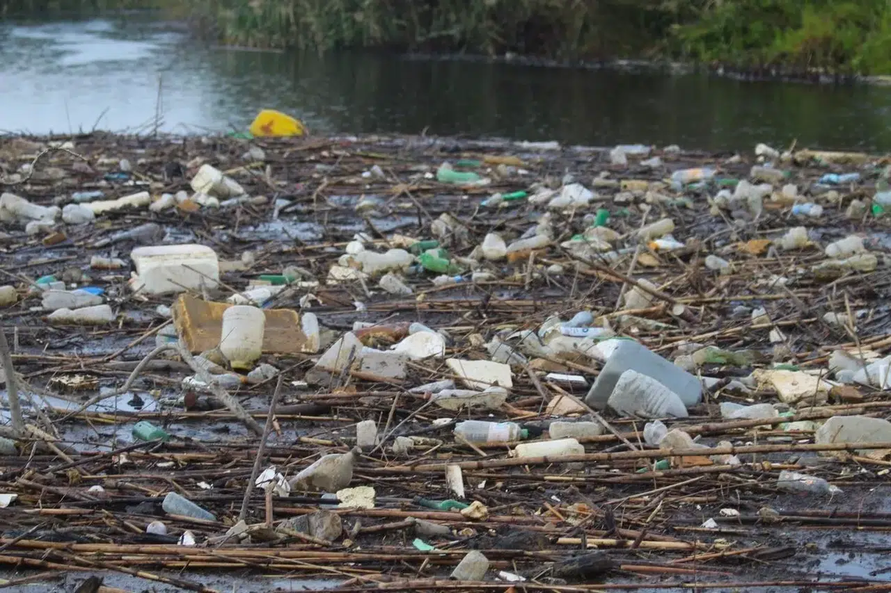 Menderes Nehri için seferberlik: Boş ambalajı getirene gübre hediye