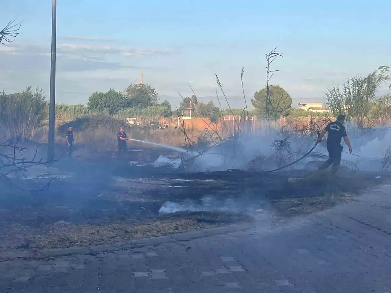 Efeler'de korku dolu anlar: Alevlerin sardığı ağıldaki hayvanları son anda kurtardılar