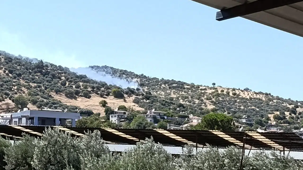 Bozdoğan’da korkutan alevler: Ekipler seferber oldu