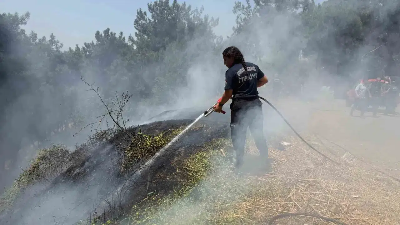 Aydın'da yangın mesaisi: İtfaiye ekipleri bir haftada yüzlerce noktaya yetişti
