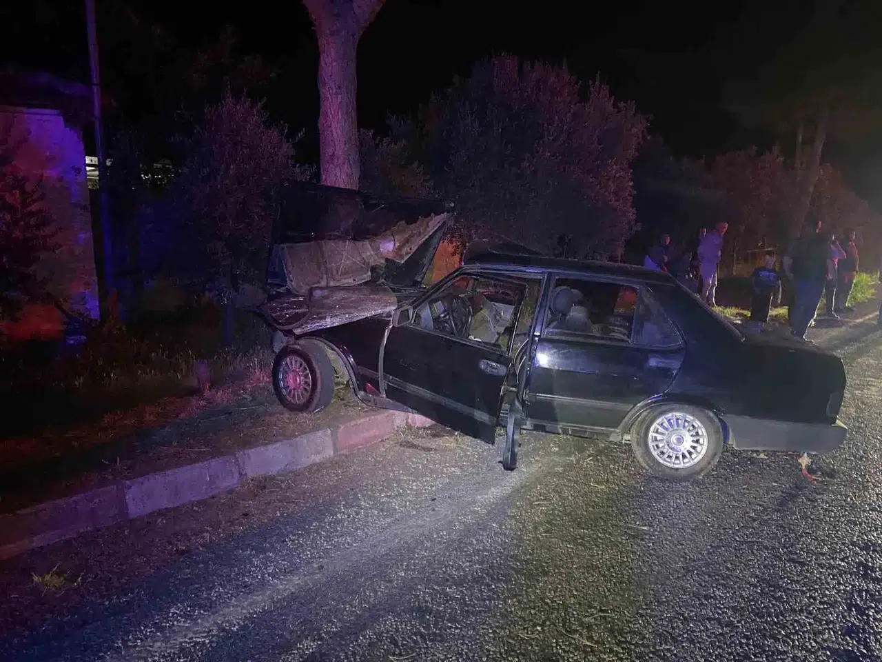 Ödemiş'te gece yarısı dehşeti: Köpeğe çarpmamak isterken ağaca çarptılar