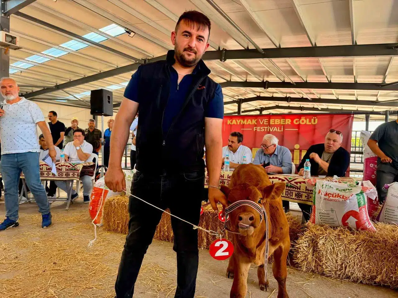 Bolvadin’in minik şampiyonu podyumda: 40 günlük buzağı herkesi kendine hayran bıraktı