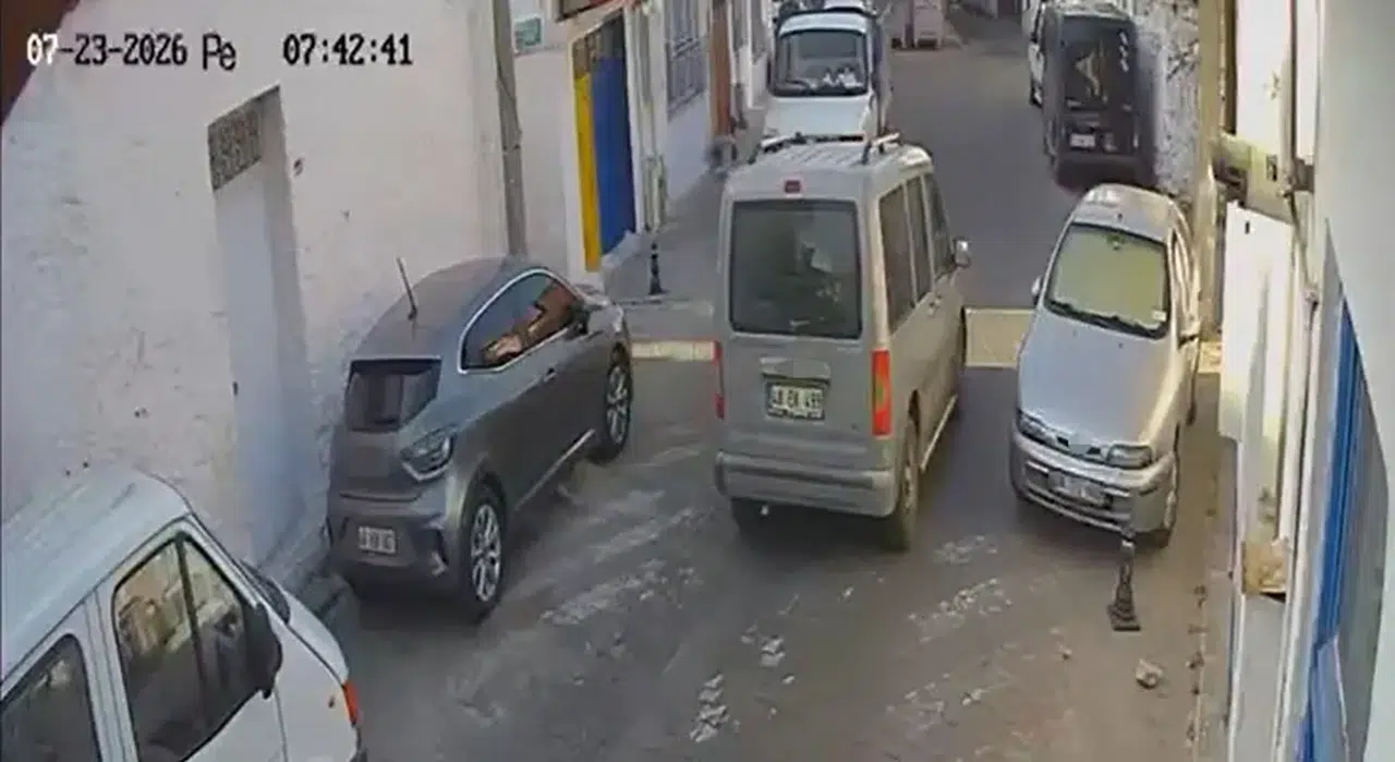 Menteşe’de vicdansızlık kamerada: İki kediyi ezip hiçbir şey olmamış gibi gitti