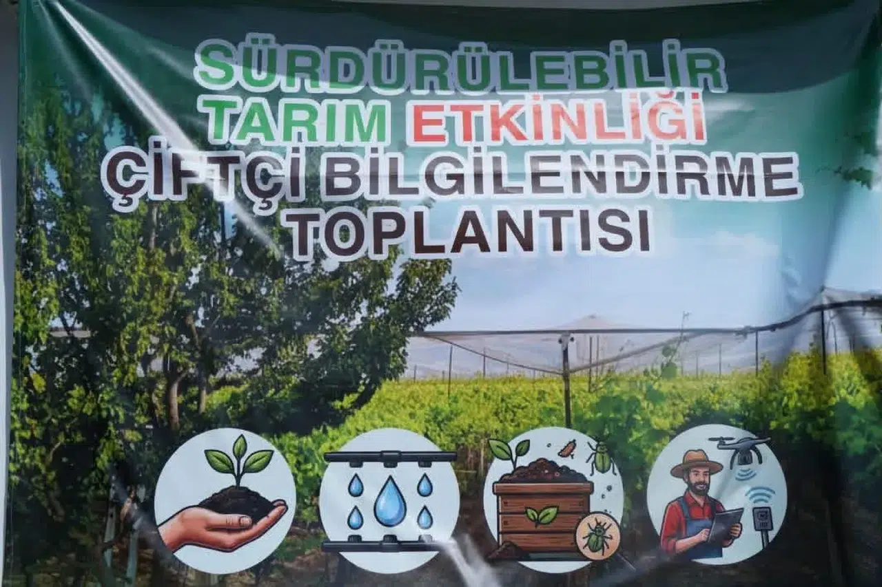 Sarıgöl bağlarında verim seferberliği: Üreticiye kritik eğitim