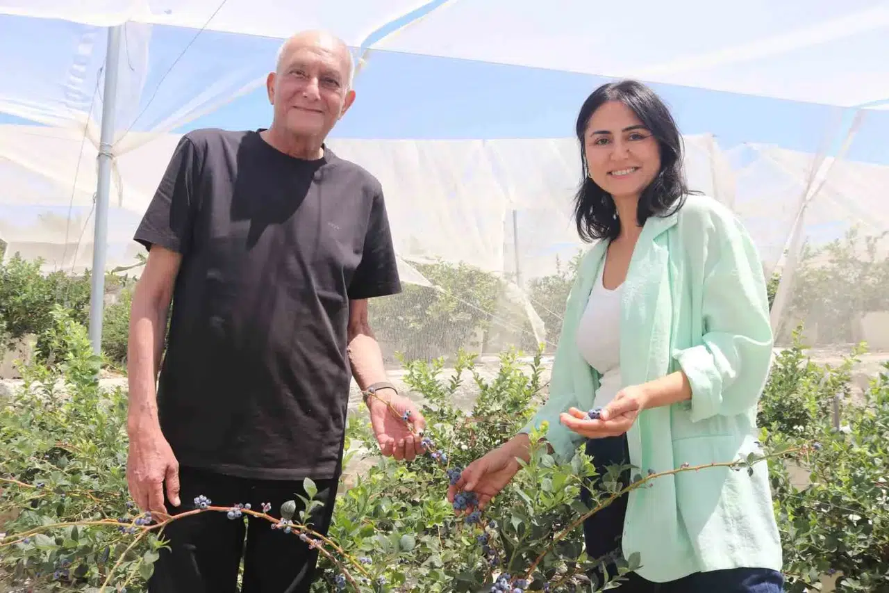 Beyaz yakalı hayattan topraksız tarım devrimine: İlter çiftinden İzmir’de örnek girişim