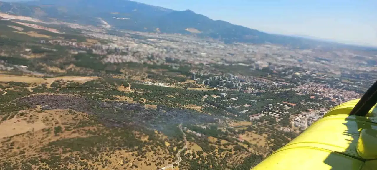 Bornova'da alevlere geçit yok: Orman yangını büyümeden söndürüldü