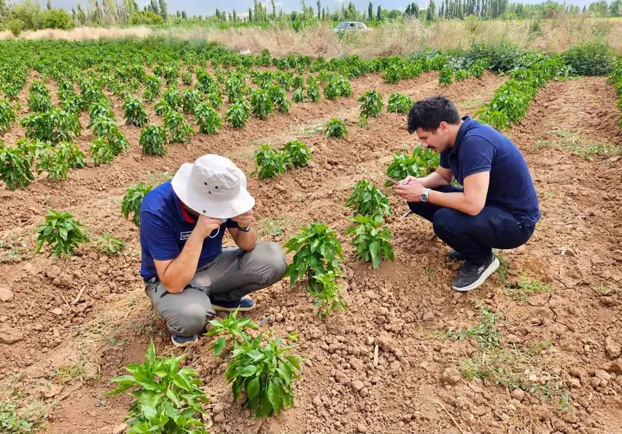 Başmakçı’da tarlalar mercek altına alındı: Üreticinin yüzünü güldürecek denetim