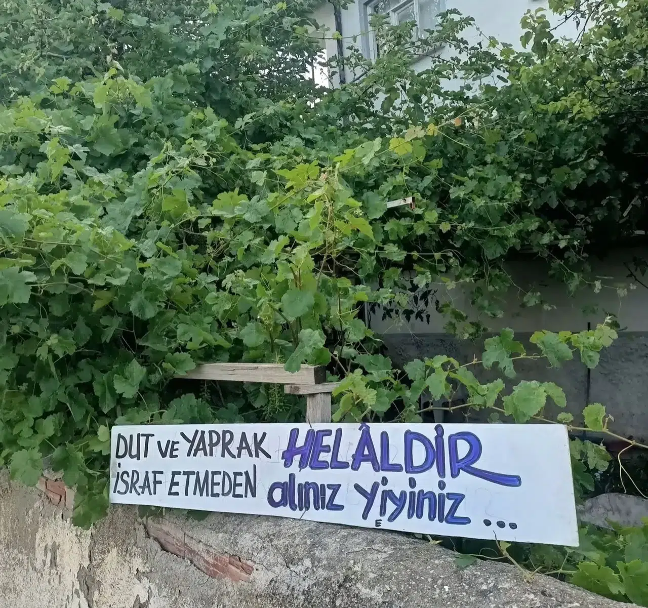Eski başkandan gönülleri ısıtan jest: Bahçesindeki ürünleri herkese açtı