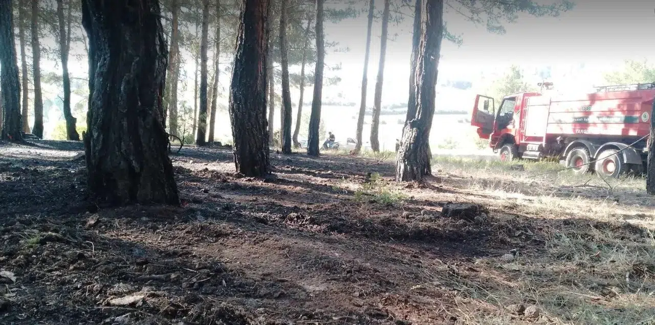 Tavşanlı'da ormanlık alanda korkutan dumanlar: Ekipler felaketi önledi