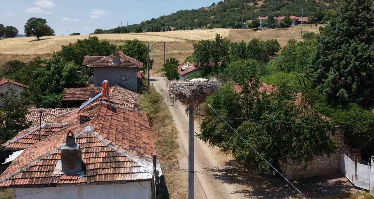 Porsuk Barajı’nın kanatlı misafirleri: Sofça’nın sadık dostları baharı müjdeliyor