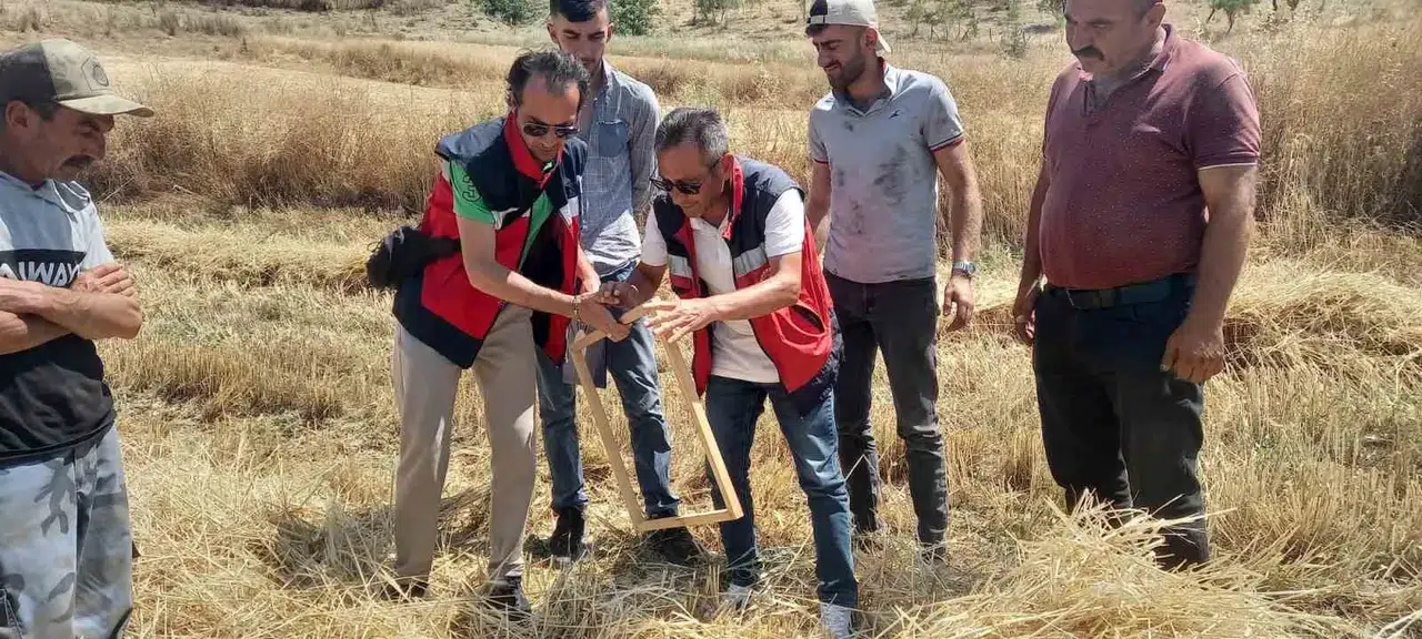 Tavşanlı ovasında hasat mesaisi: Biçerdöverlerde sıkı denetim dönemi