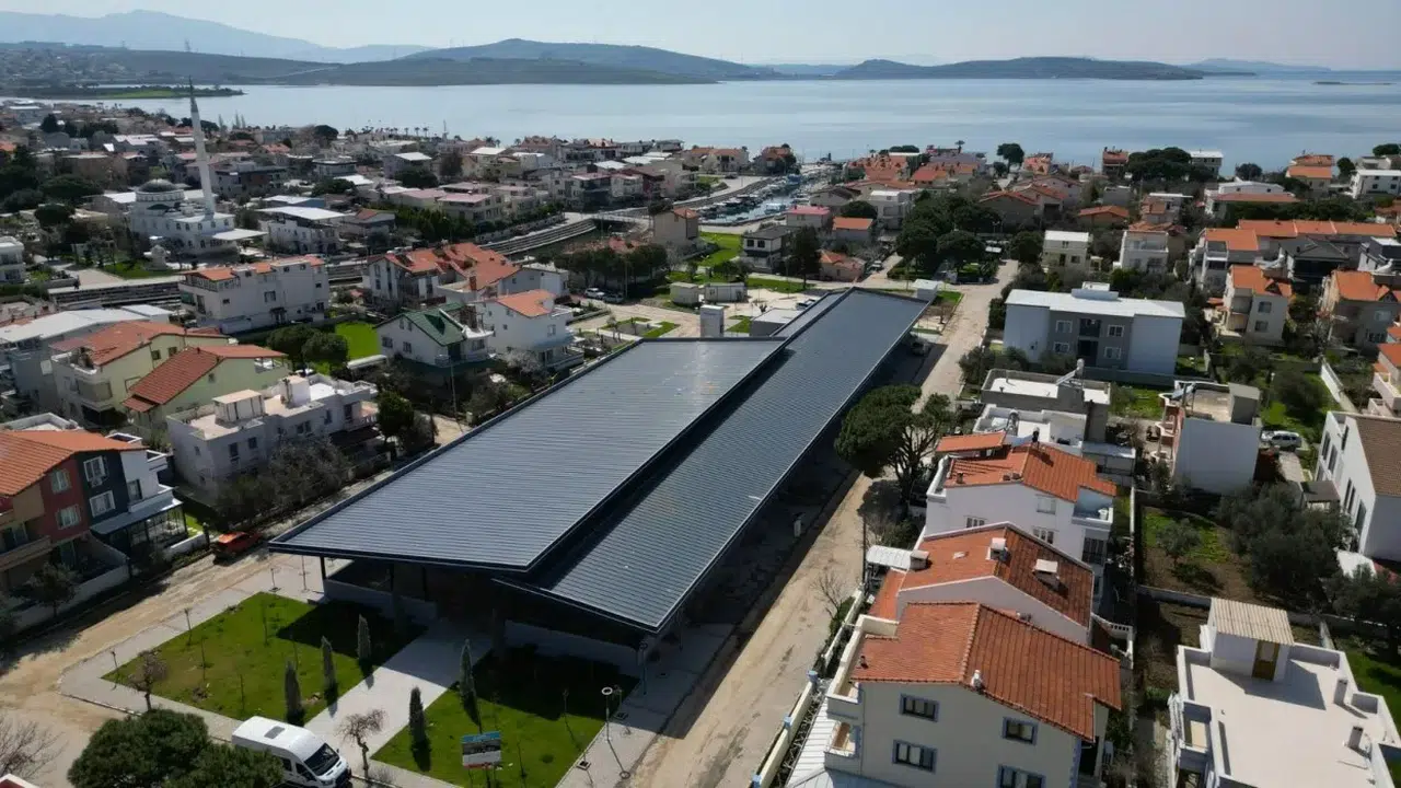 Ege'nin kalbi Şakran'da festival rüzgarı: Zeytin, sanat ve deniz bir arada