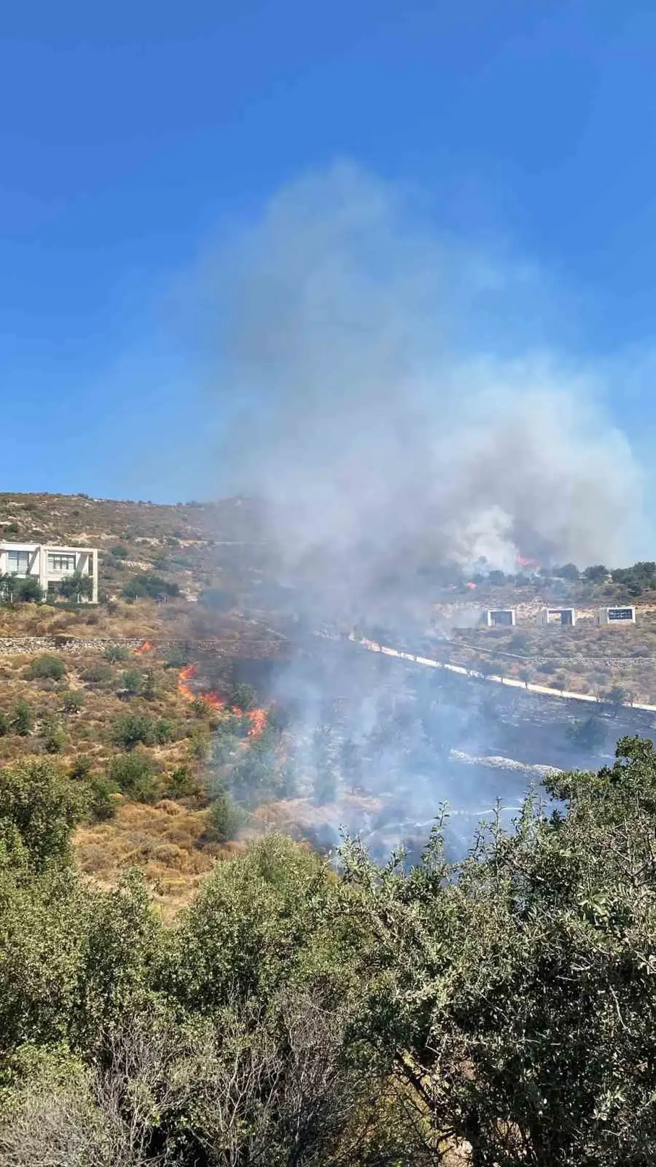Bodrum Dereköy'de alevler yükseldi: Ekipler seferber oldu