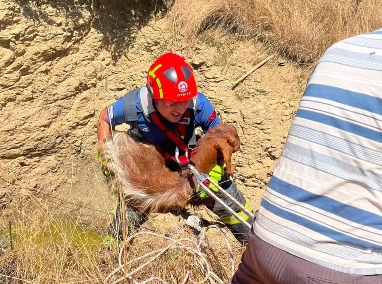 Çobanın imdadına itfaiye yetişti: 5 metrelik kuyudan sağ çıktı