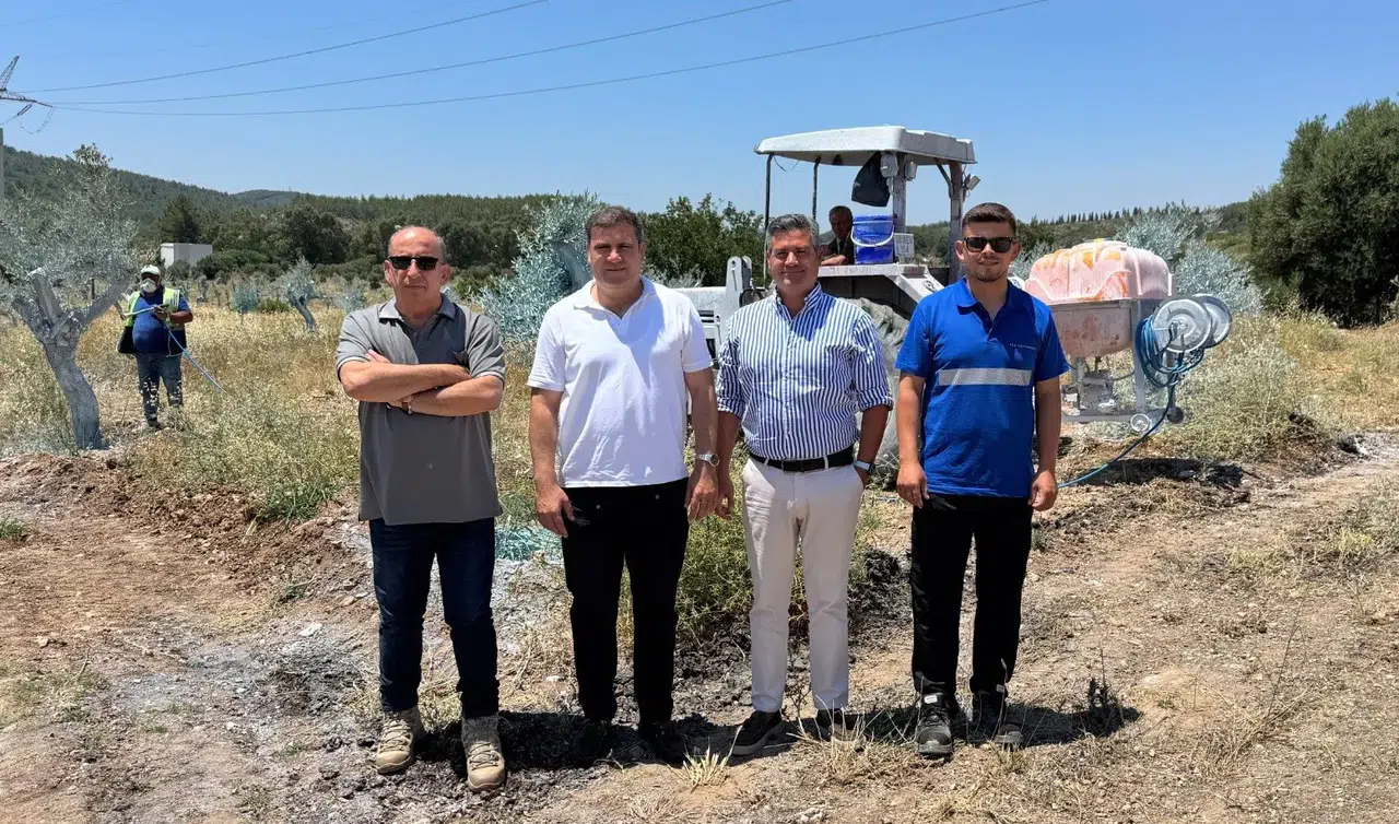 Milas’ta zeytin seferberliği: Hem doğa kazanıyor hem yerel ekonomi büyüyor