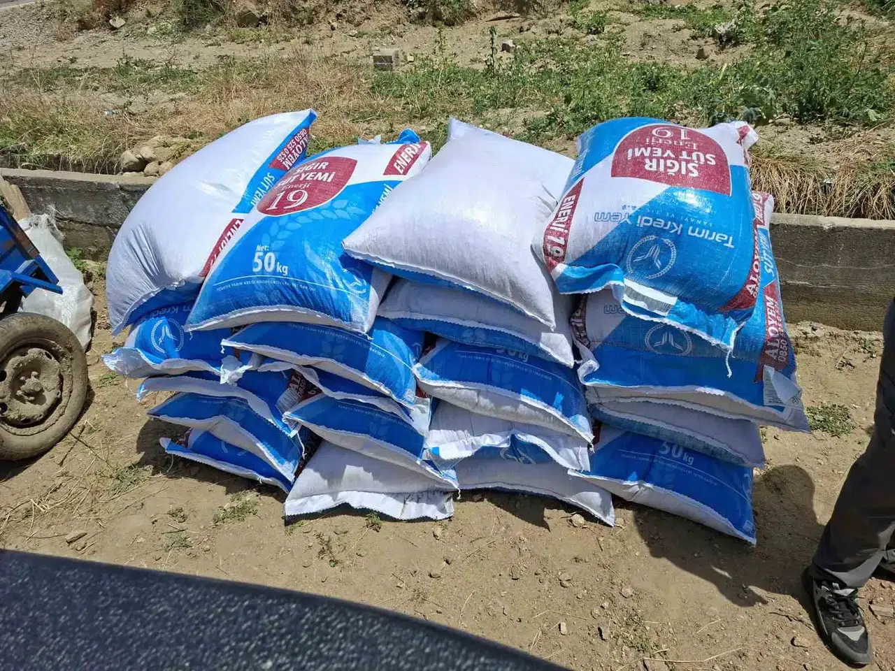 Gördes’teki yangın felaketinde üreticiye can suyu: Büyükşehir’den acil destek eli