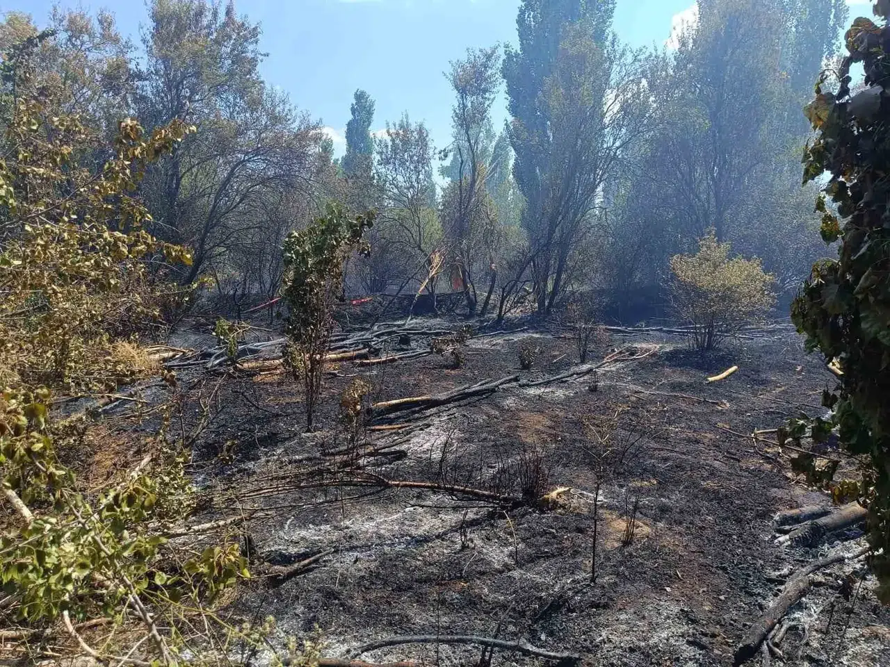 Sandıklı'da korkutan yangın: Alevler evlere ulaşmadan durduruldu