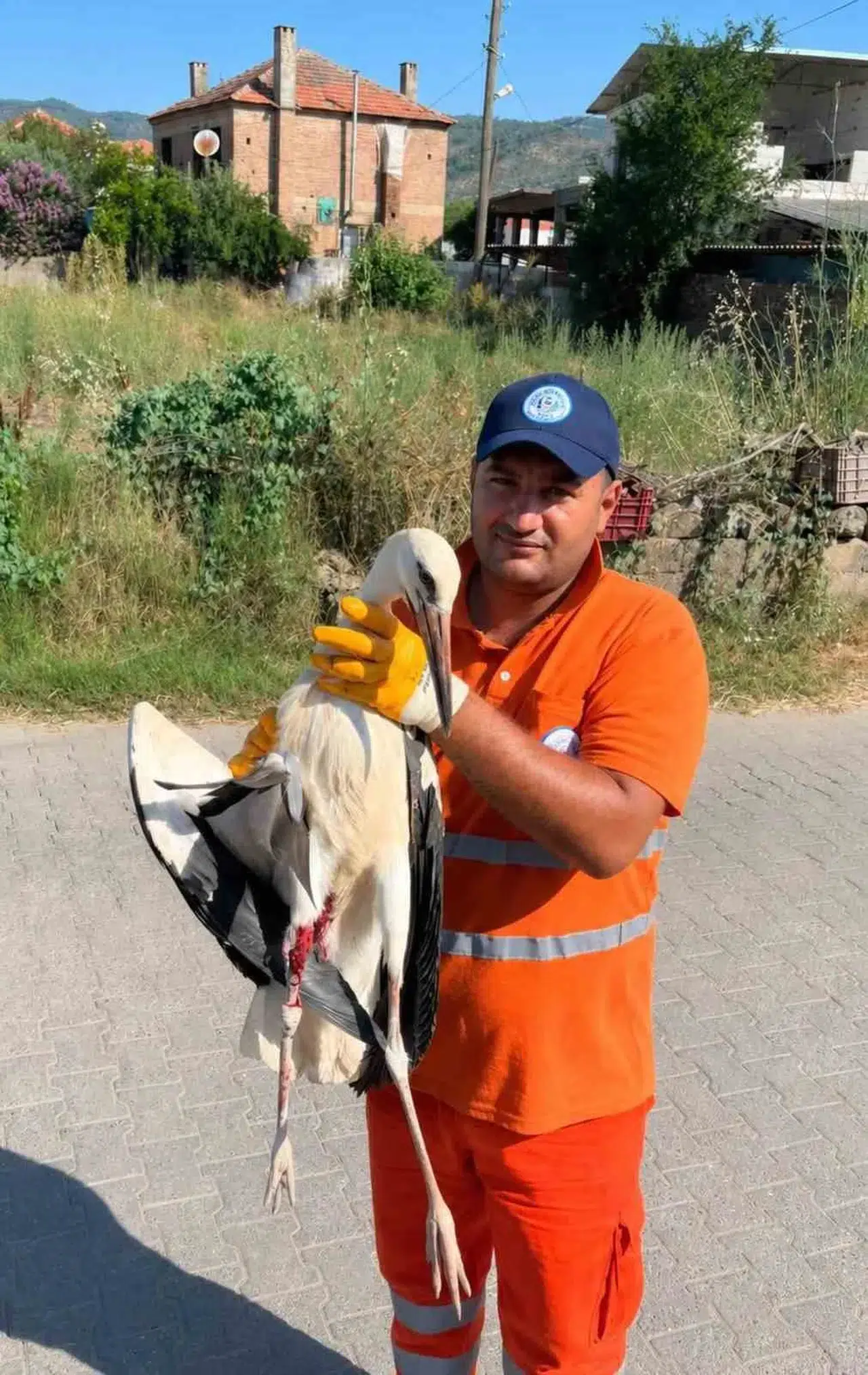 Temizlik işçisinden örnek hareket: Yaralı leyleği ölüme terk etmedi