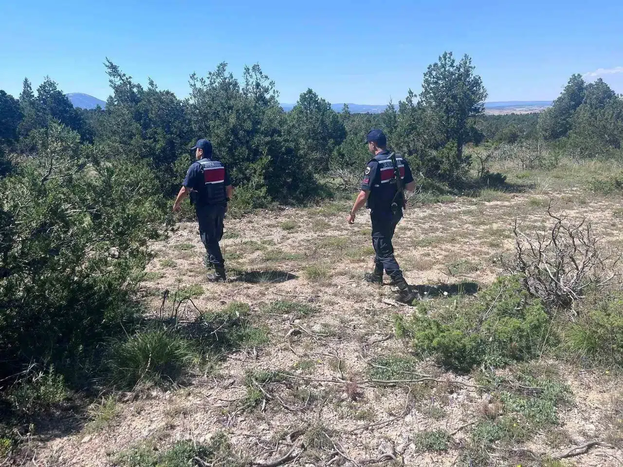 Kütahya ormanları jandarma koruması altında: Sıcak havalar için alarm verildi