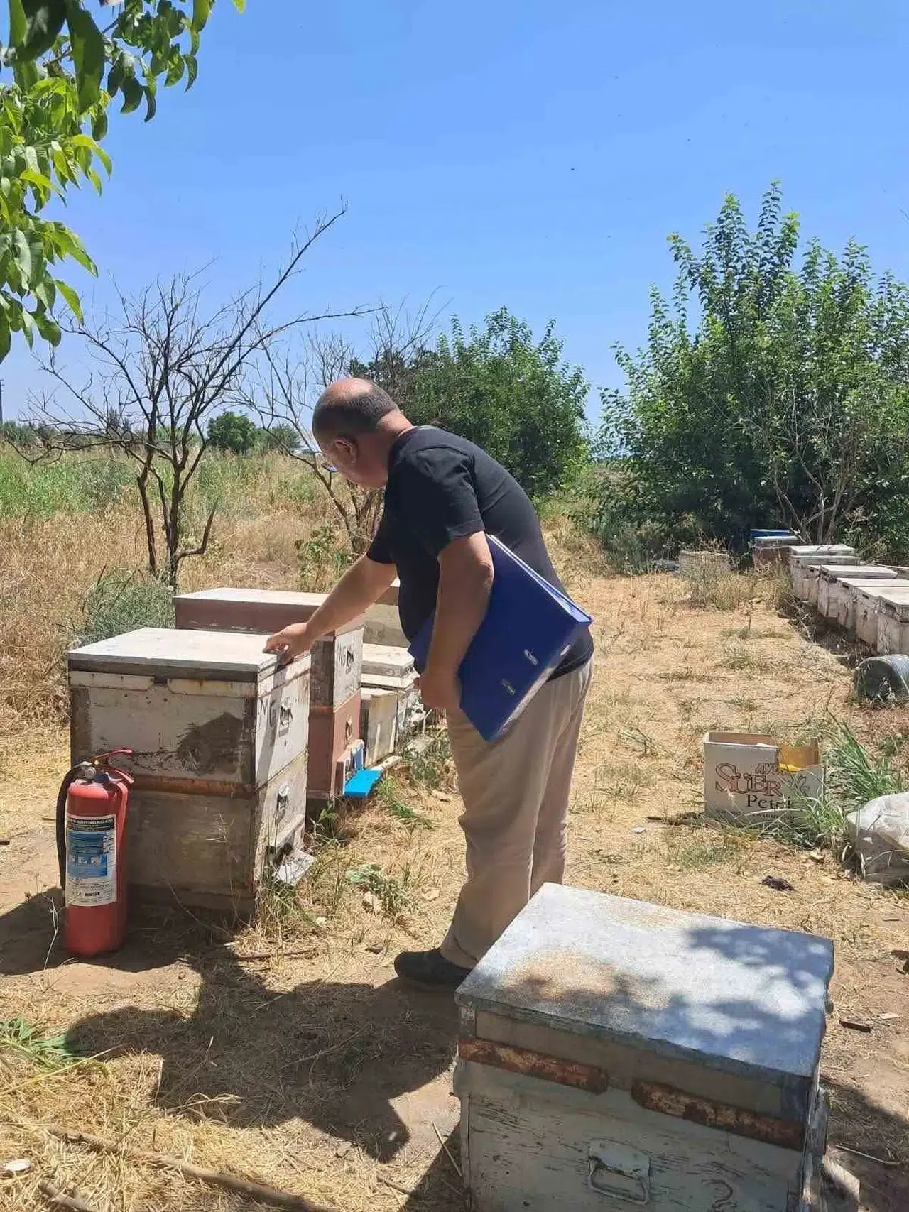Köşk’te arıcıların yüzünü güldürecek çalışma: Destekler için sahaya indiler