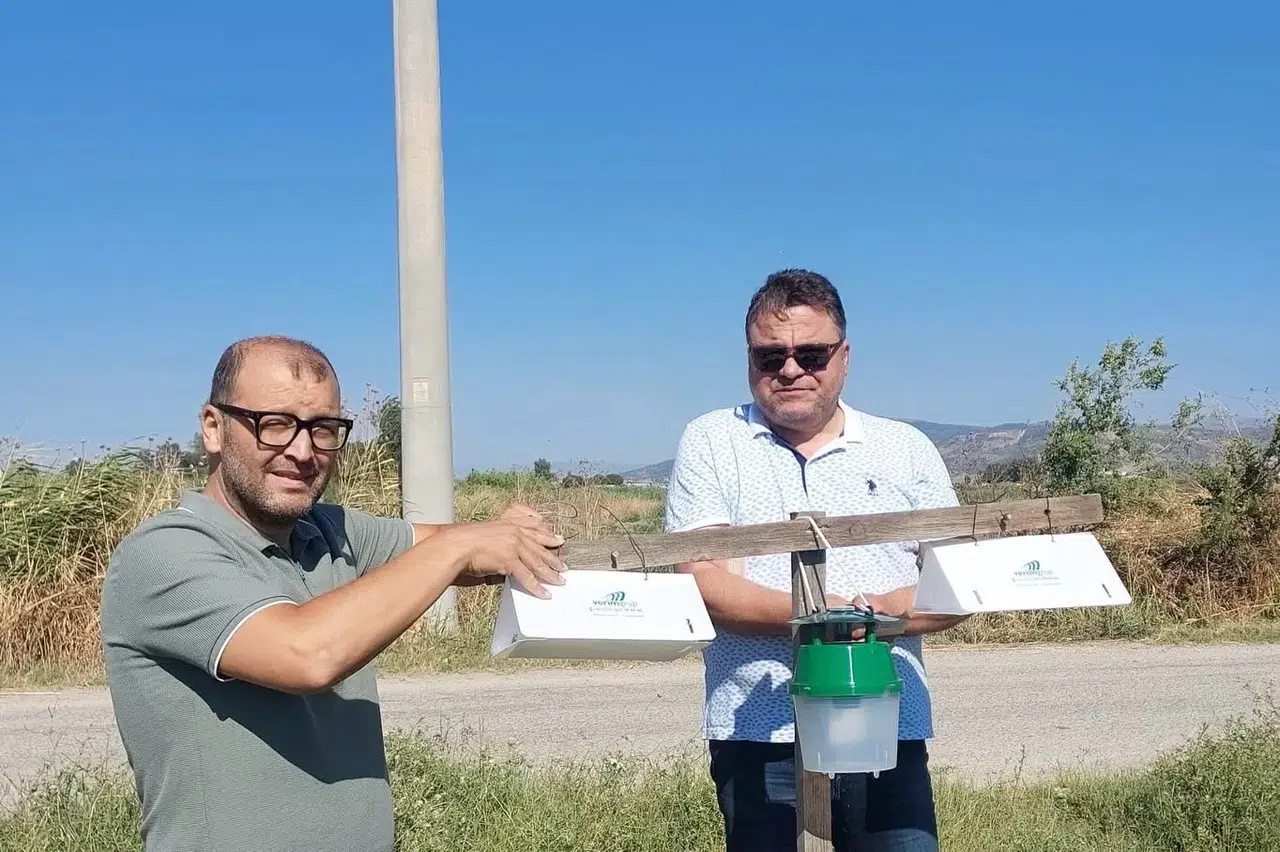 Pamukta verim kaybına feromonlu önlem: Efeler'de yeni dönem başladı