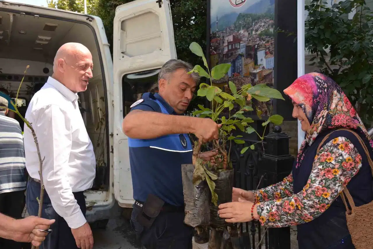 Babadağ'da toprak berekete kavuşuyor: Belediyeden üreticiye dev fidan desteği