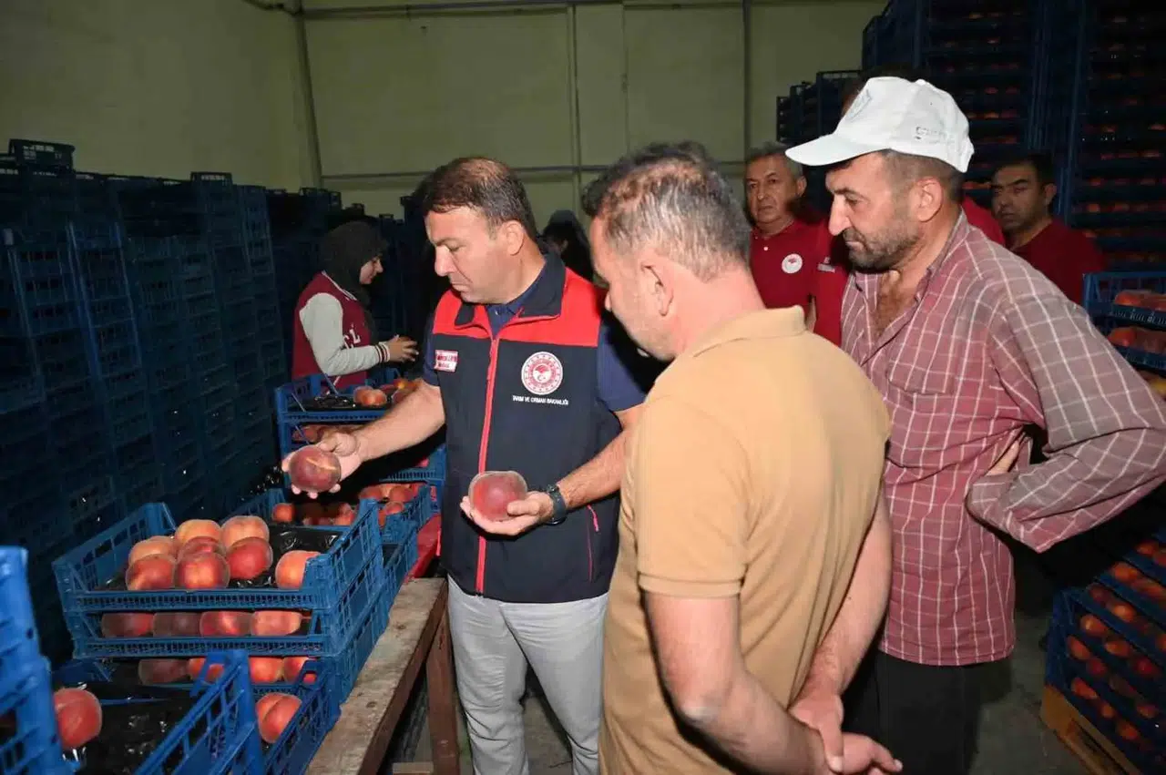 Çivril’de şeftali hasadından rafa uzanan yol haritası masaya yatırıldı